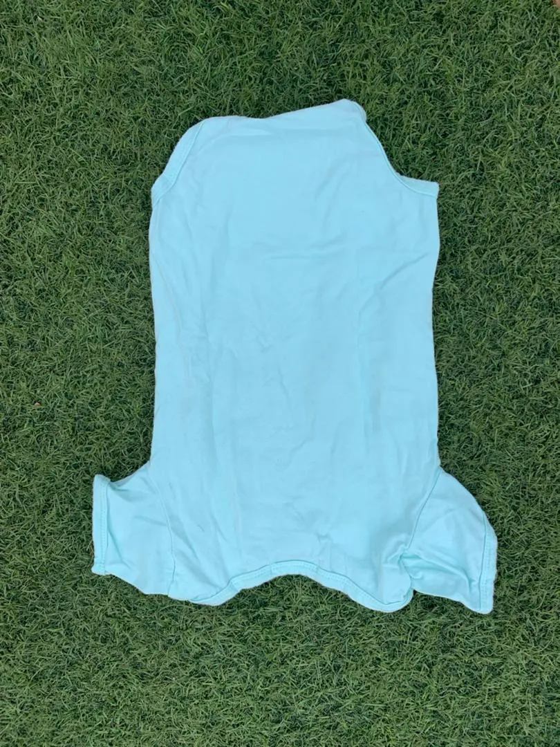 Jinxing sky blue bodysuit size 0-6months
